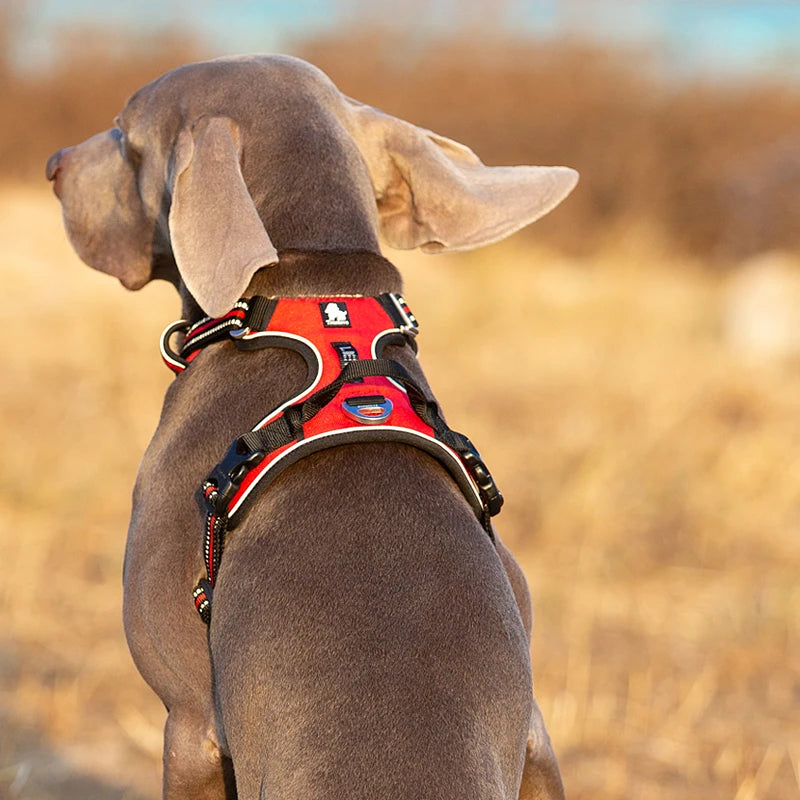 Truelove Reflective No Pull Dog Harness For Walking And Training