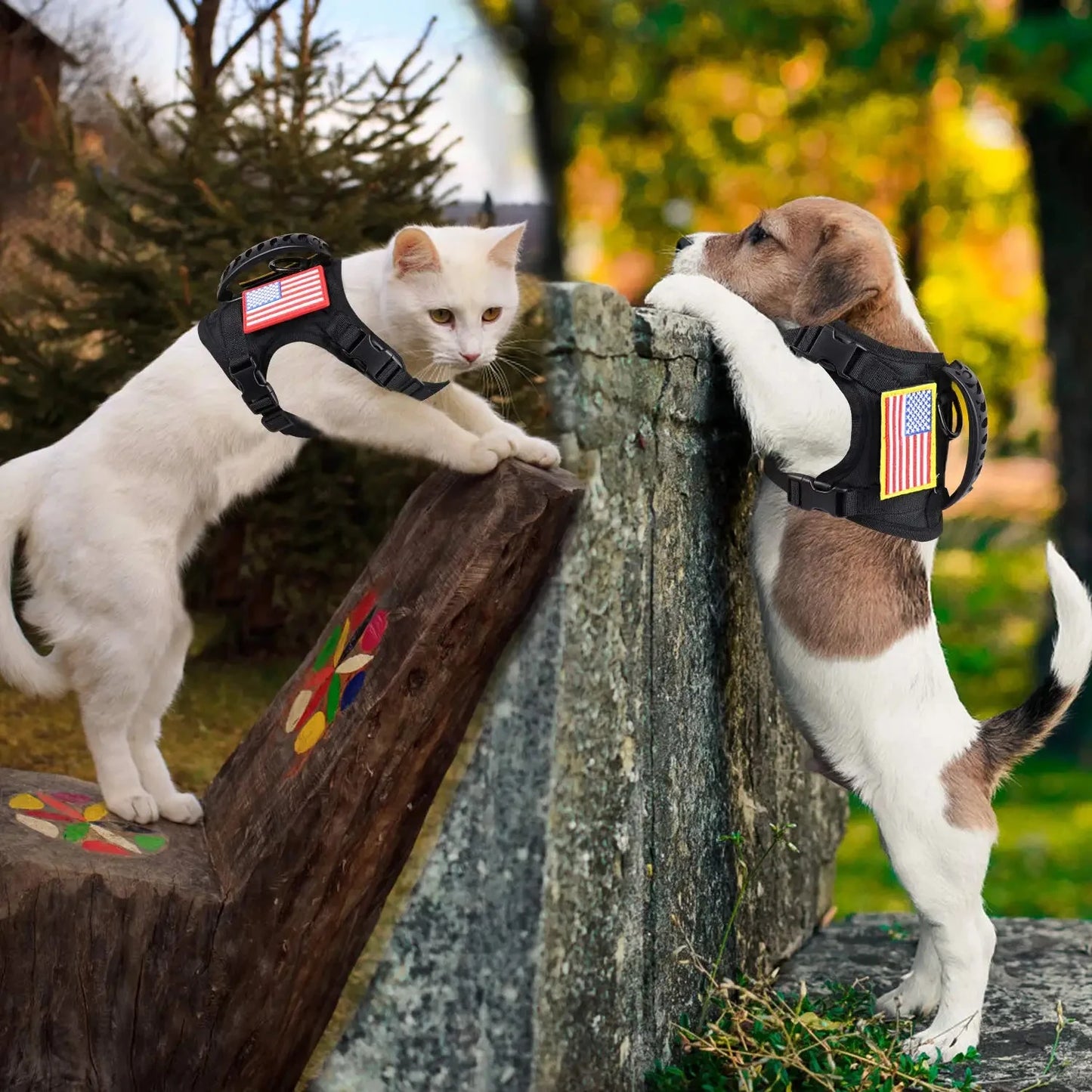 Tactical Puppy Harness Leash Set For Small Dogs Training