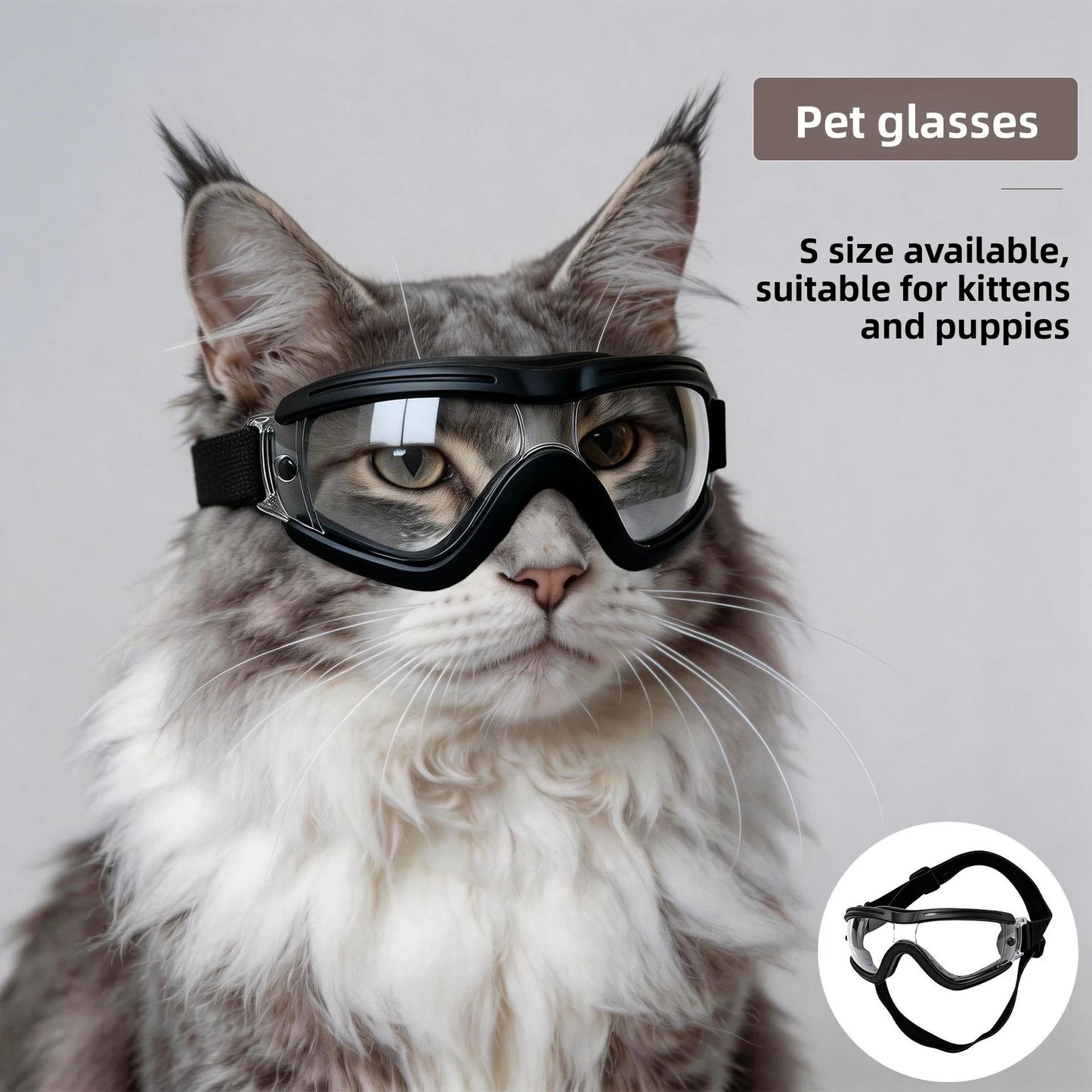 Pet Goggles For Cats And Small Dogs Travel Glasses Carrier