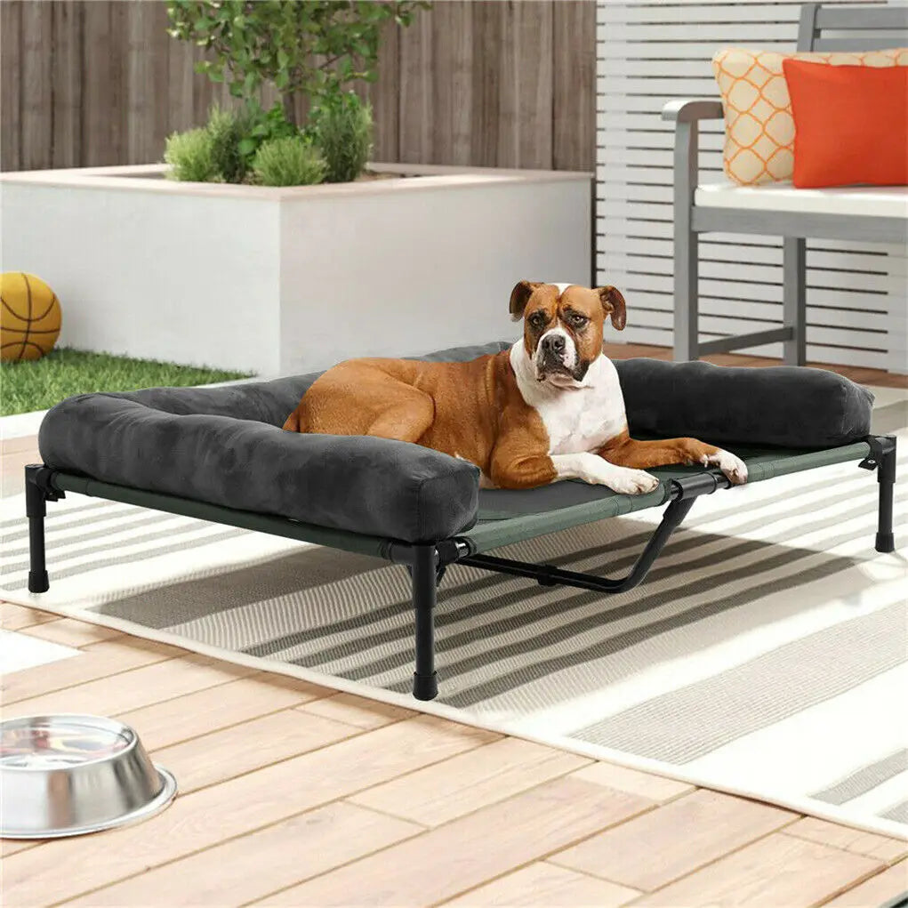 BINGOPAW Indoor Outdoor Elevated Pet Lounger Bed With Detachable Plush Bolster