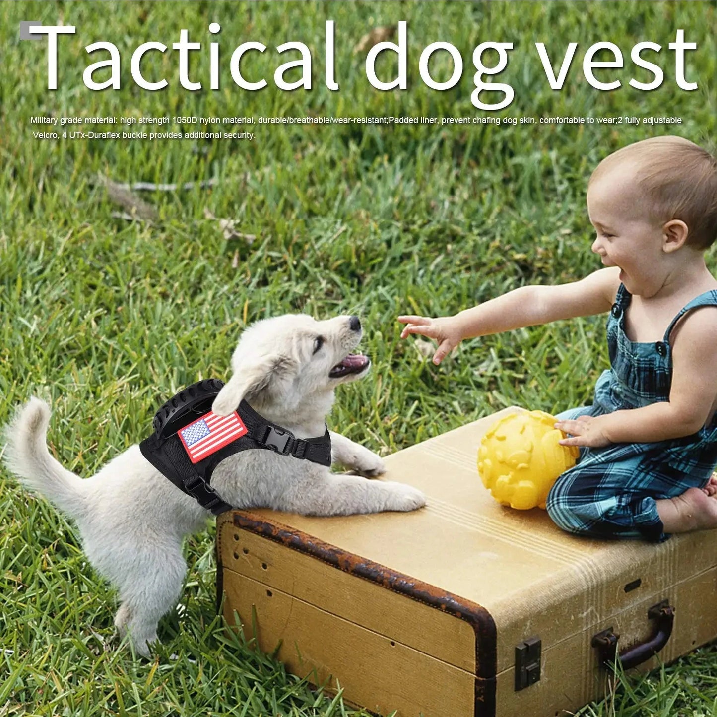 Tactical Puppy Harness Leash Set For Small Dogs Training