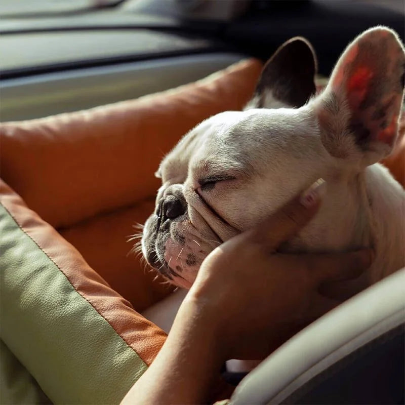 Foldable Travel Pet Car Seat Bed For Dogs And Cats