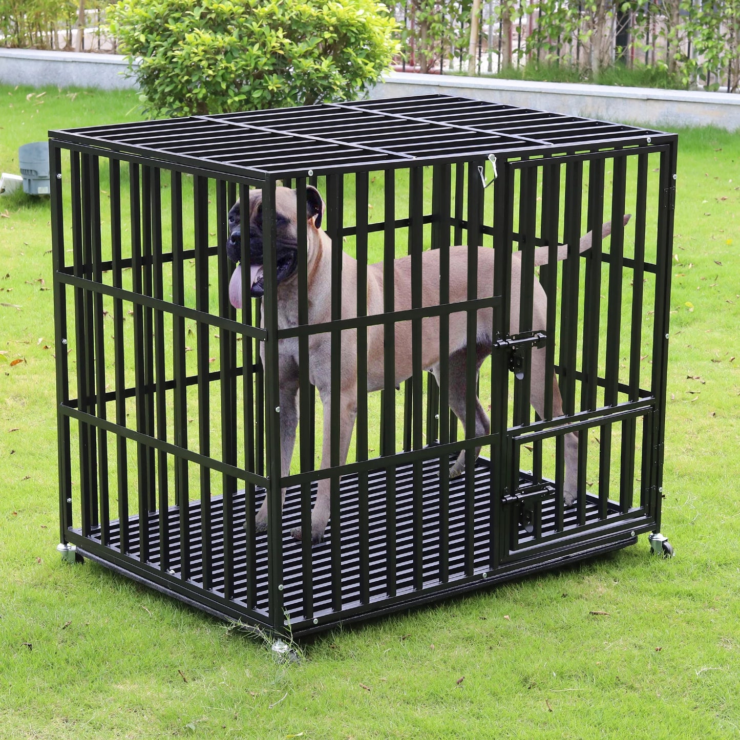 Bingopaw Heavy Duty Dog Cage With Three Doors And Tray
