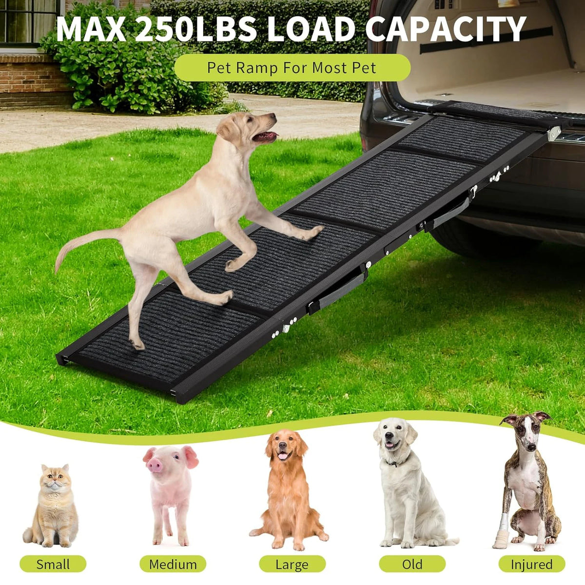 HiMiss Foldable Dog Car Ramp Non Slip Grip Large Breeds