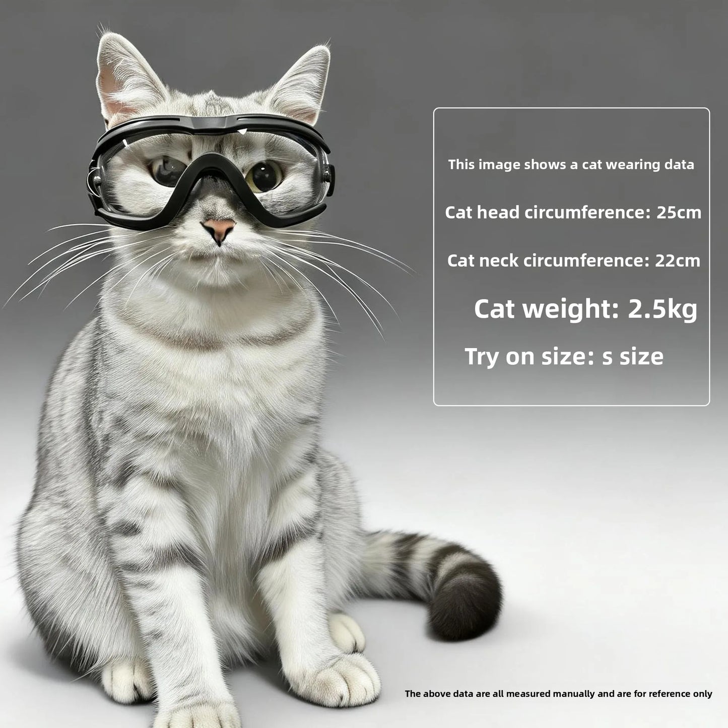 Pet Goggles For Cats And Small Dogs Travel Glasses Carrier