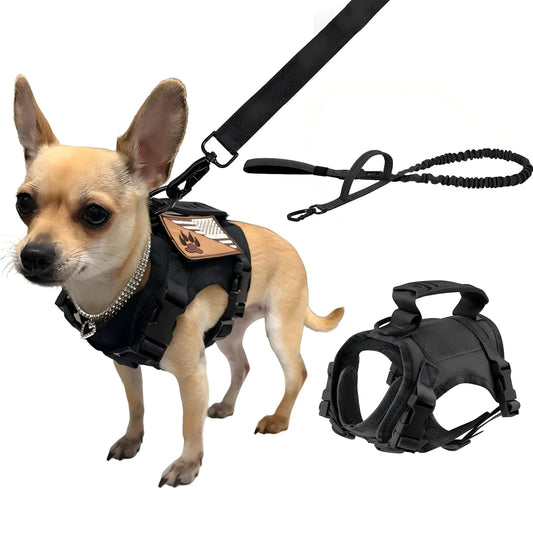 Tactical Puppy Harness Leash Set For Small Dogs Training