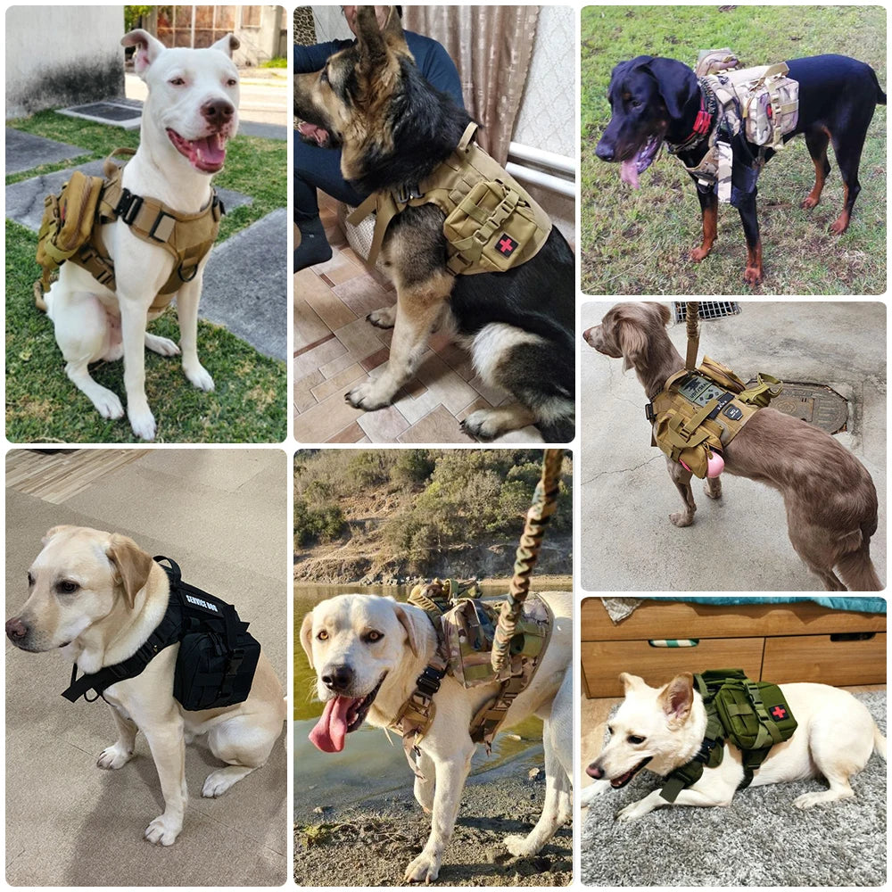 Tactical Dog Harness Leash Set for Large Dogs No Pull