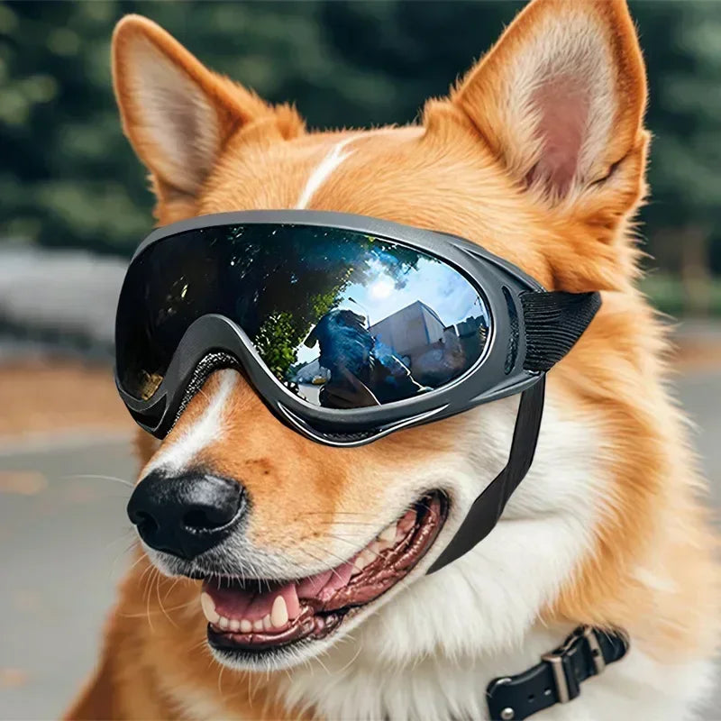 Pet Goggles Adjustable Anti UV Dog Sunglasses For Outdoor Activities