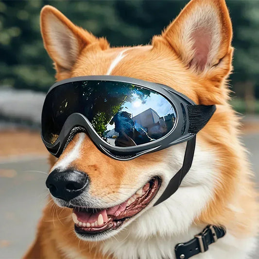 Pet Goggles Adjustable Anti UV Dog Sunglasses For Outdoor Activities