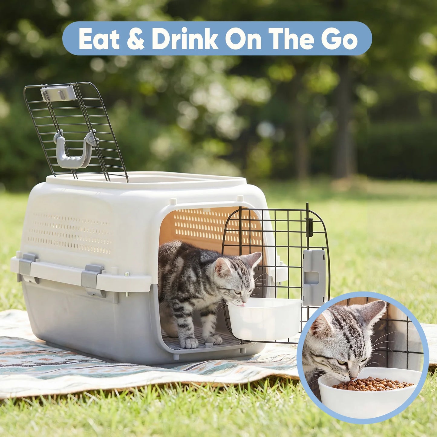 Pet Carrier for Small Dogs and Cats With Enhanced Security