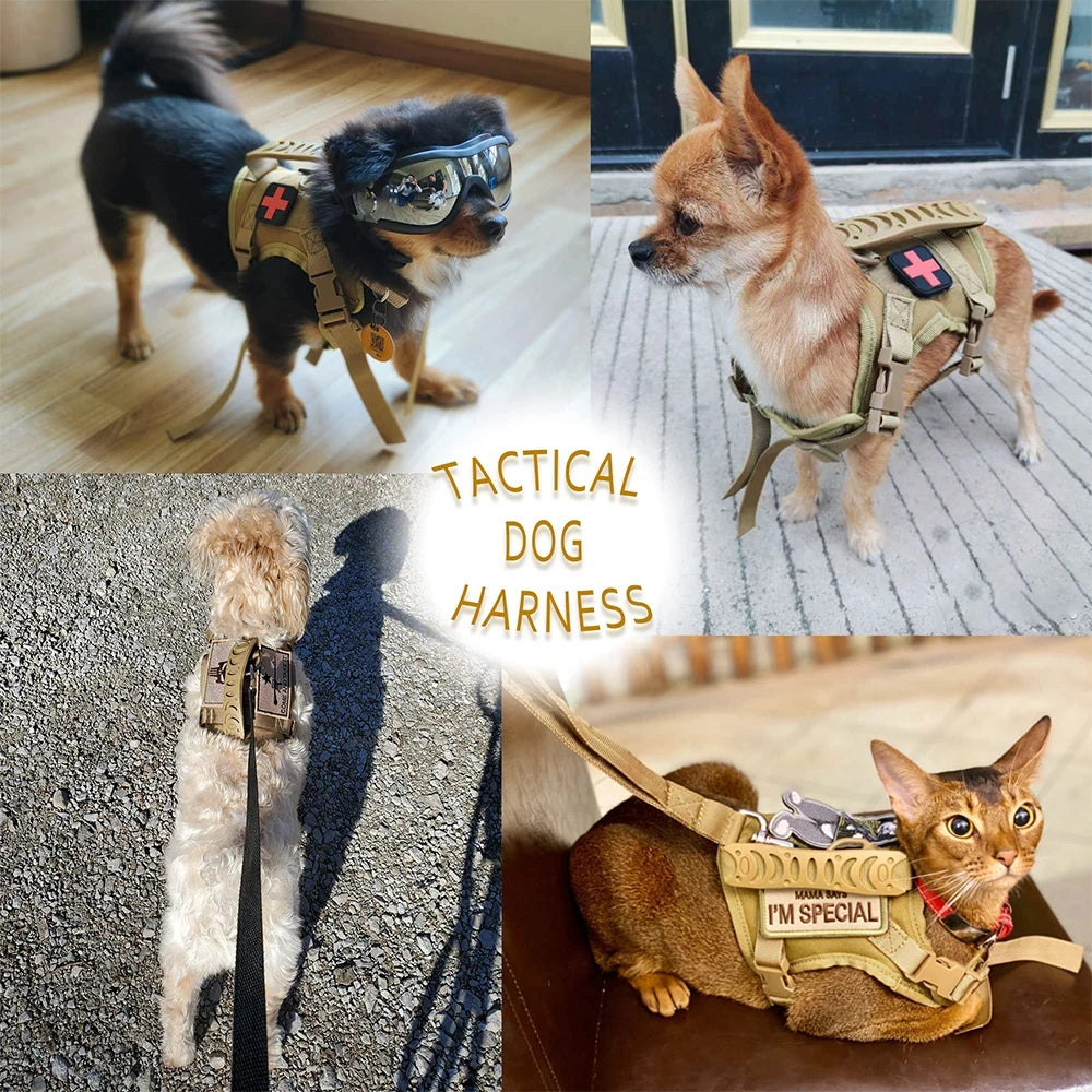 Tactical Puppy Harness Leash Set For Small Dogs Training